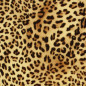Preview: Poli-Flex Image Leopard Flexfolie